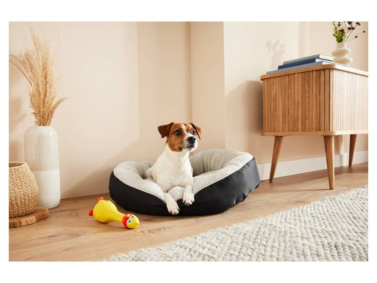 zoofari® Hundebett, mit kuscheligem Plüsch Neueste Mode