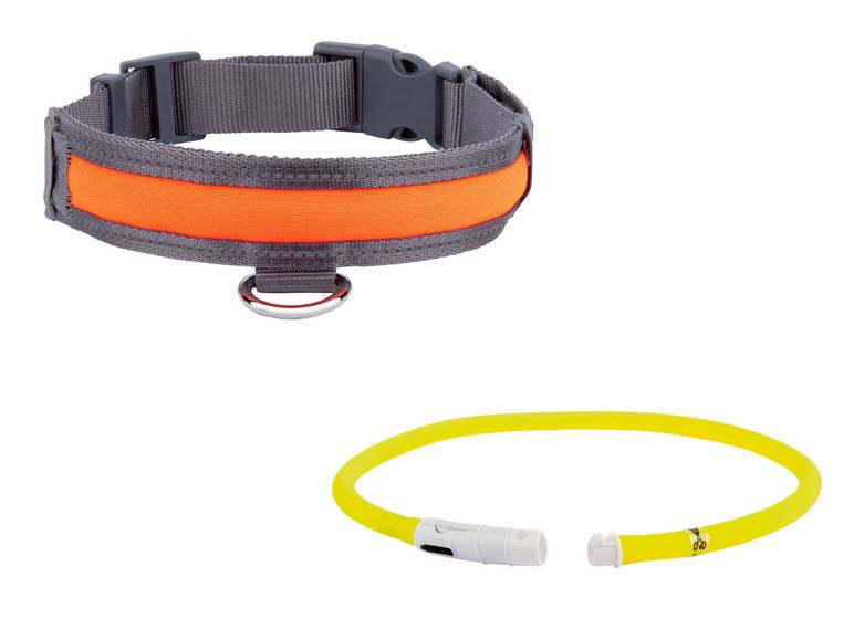 zoofari® Hundehalsband, mit LED Saisonale Angebote
