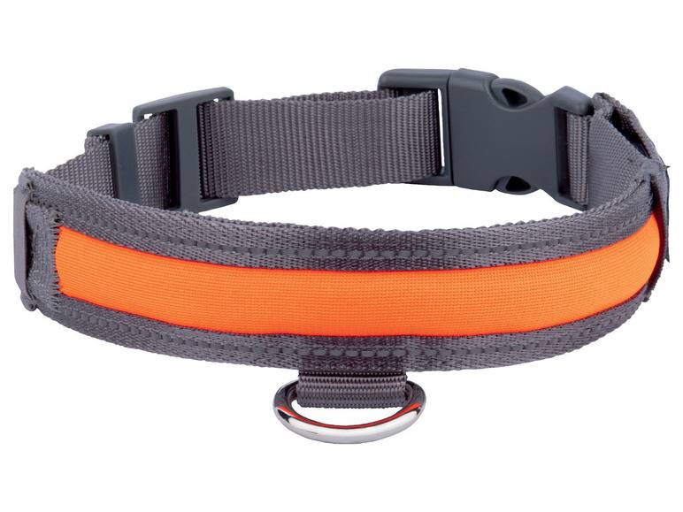 zoofari® Hundehalsband, mit LED Saisonale Angebote