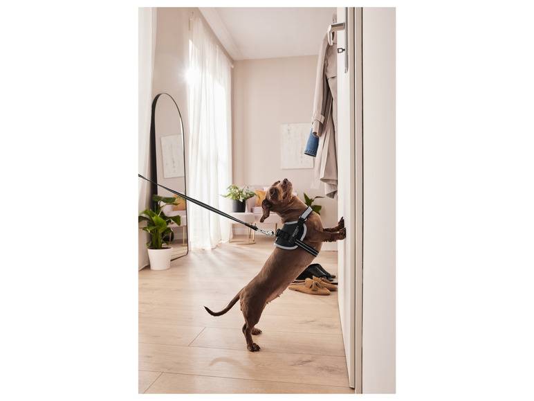 zoofari® Hundegeschirr, mit Klettstickern Räumungsverkauf