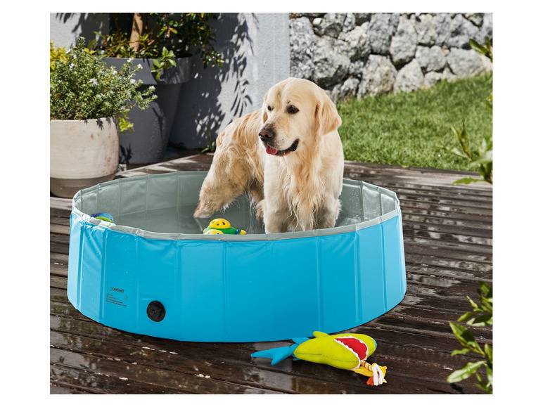 zoofari® Hundepool, Ø 120 x H 30 cm, mit Antirutsch-Boden Tiefpreis