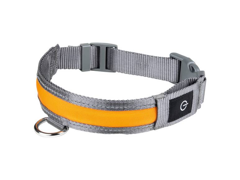 zoofari® LED-Hundeleuchtband, mit wiederaufladbarem Akku Begrenzte Freigabe