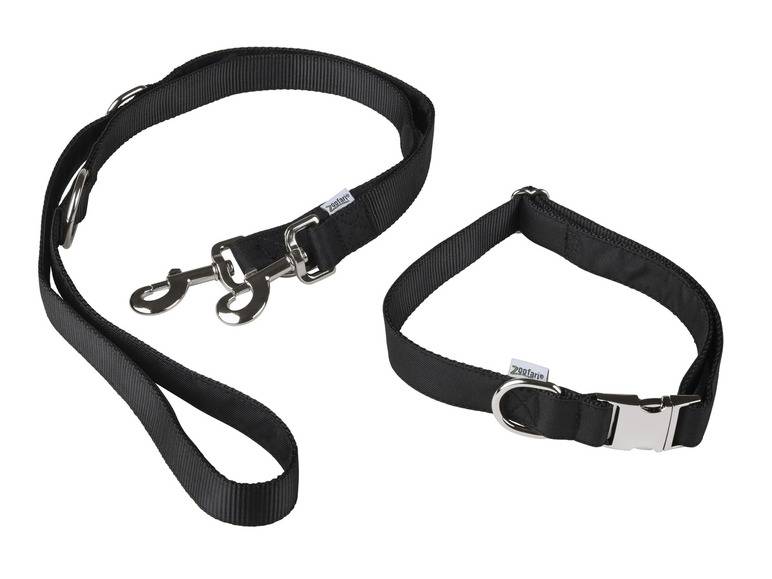 zoofari® Hundehalsband mit Hundeleine Zeitbegrenzte Promotion