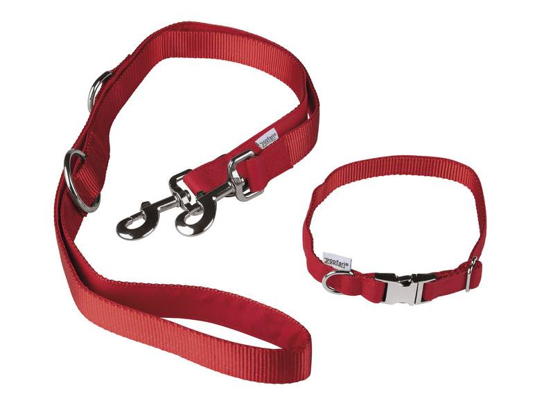 zoofari® Hundehalsband mit Hundeleine Zeitbegrenzte Promotion