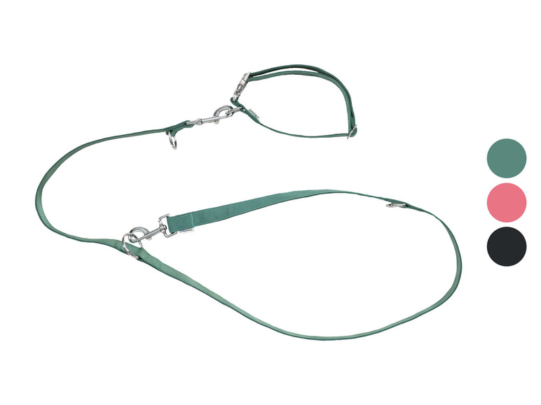 zoofari® Hundehalsband und Hundeleine Bis zu 60% Rabatt