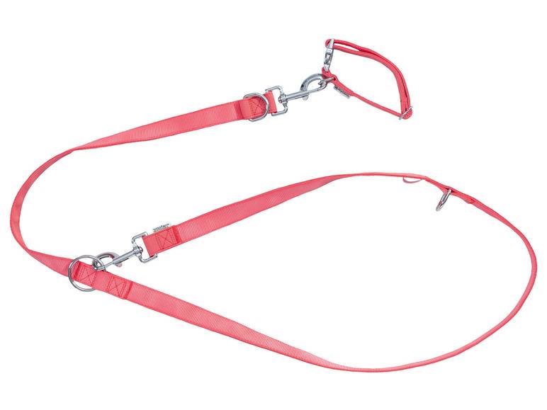 zoofari® Hundehalsband und Hundeleine Bis zu 60% Rabatt