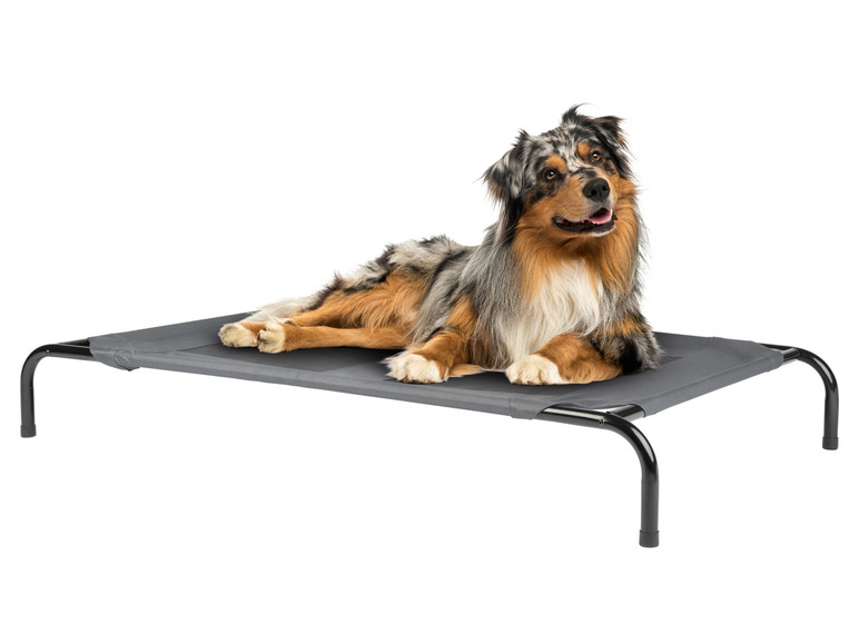 zoofari® Haustierbett, mit luftdurchlässigen Flächen Sonderangebot der Fabrik