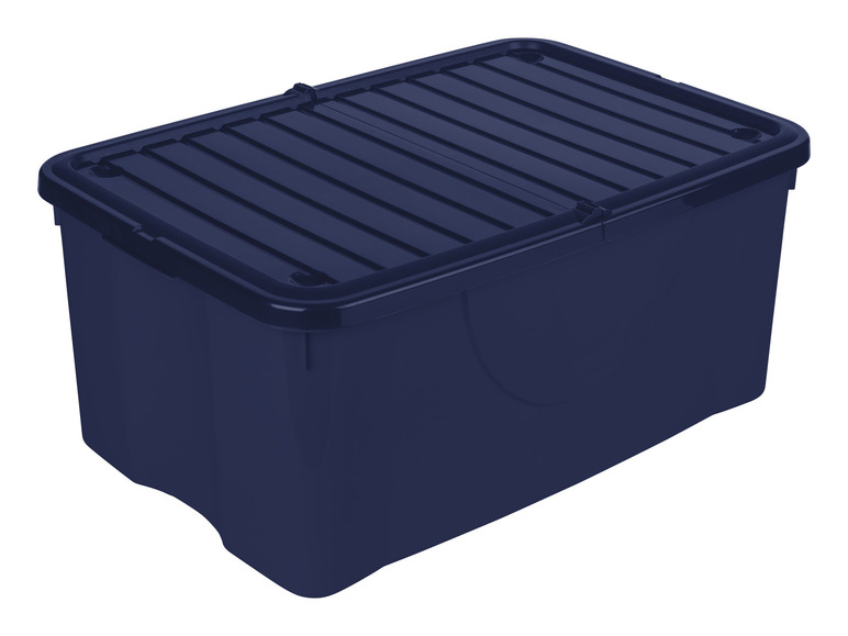 LIVARNO home Aufbewahrungsbox, 40 l Rabatt