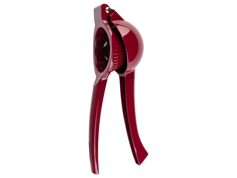 ERNESTO® Zitruspresse \ Wassermelonenschneider \ Ananasschneider Top Angebot