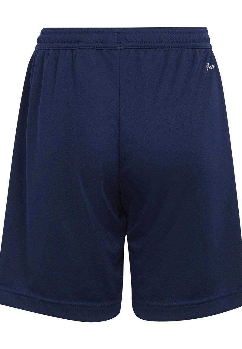 adidas Performance adidas Performance ENTRADA - Sports shorts - blue Saisonale Angebote