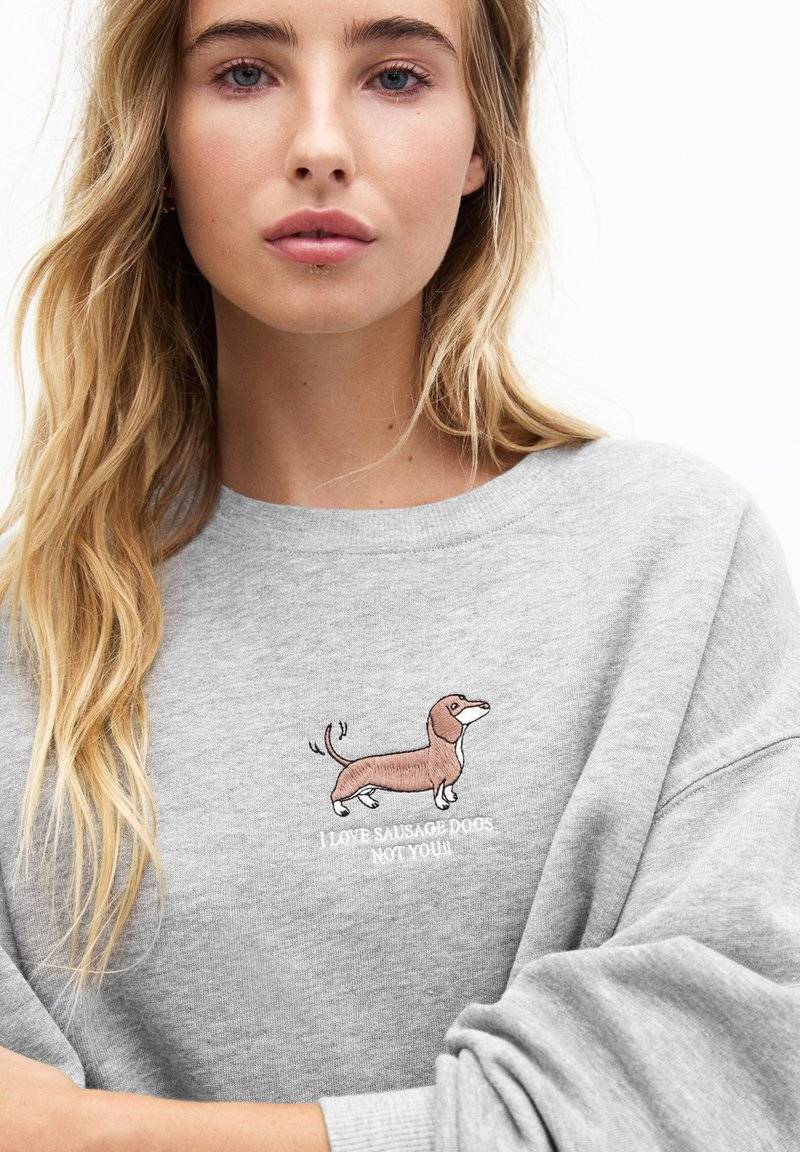 PULL&BEAR PULL&BEAR DOG - Sweatshirt - grey Rabatte dieses Monats