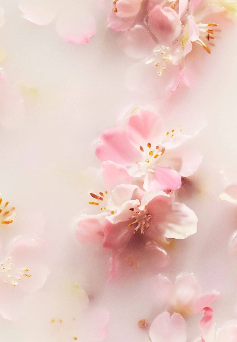 Rituals Rituals FOAMING SHOWER GEL TRAVEL SIZE THE RITUAL OF SAKURA - FLORAL - CHERRY BLOSSOM & RICE MILK - Shower gel Bestseller
