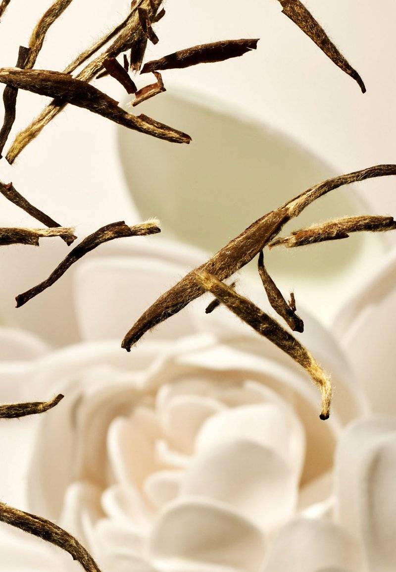 Rituals Rituals FRAGRANCE STICKS THE RITUAL OF KARMA - DELICATELY SWEET - LOTUS & WHITE TEA - Home fragrance Nur für heute