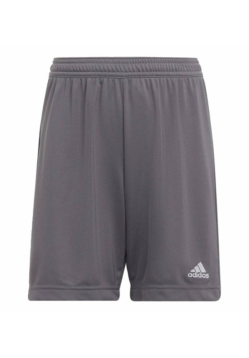 adidas Performance adidas Performance ENTRADA - Sports shorts - grey