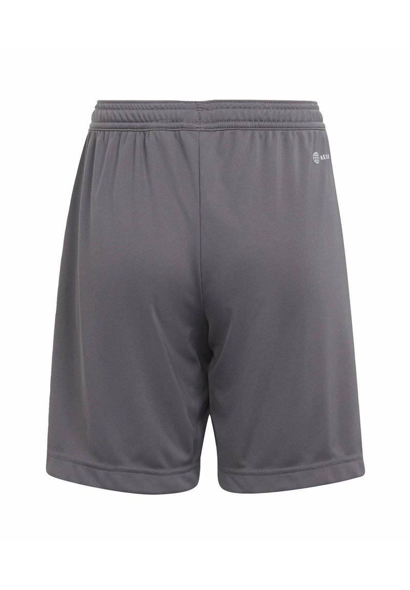 adidas Performance adidas Performance ENTRADA - Sports shorts - grey Zeitlich begrenztes Angebot