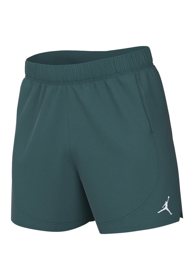 Jordan Jordan Sports shorts - oxidized green Hotsell