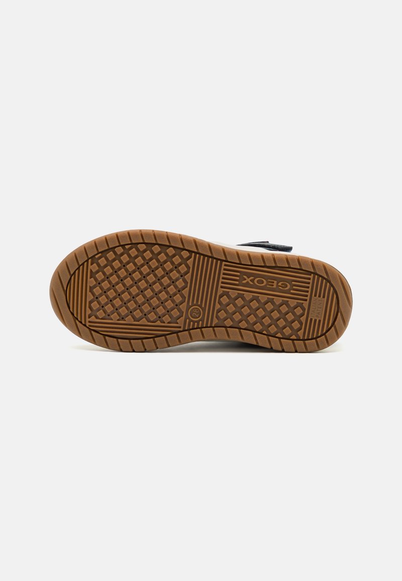 Geox Geox PERTH BOY - High-top trainers Begrenzte Freigabe