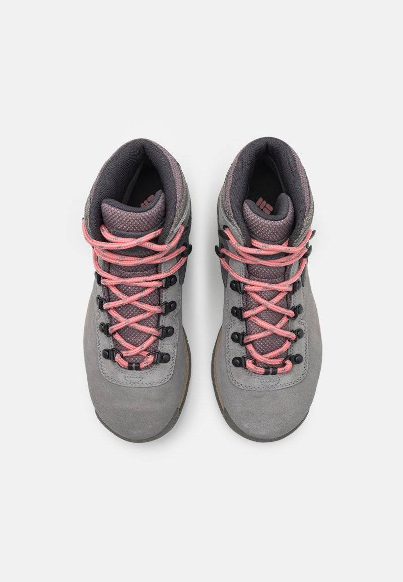 Columbia Columbia NEWTON RIDGE PLUS WATERPROOF AMPED - Hiking shoes Osterangebot