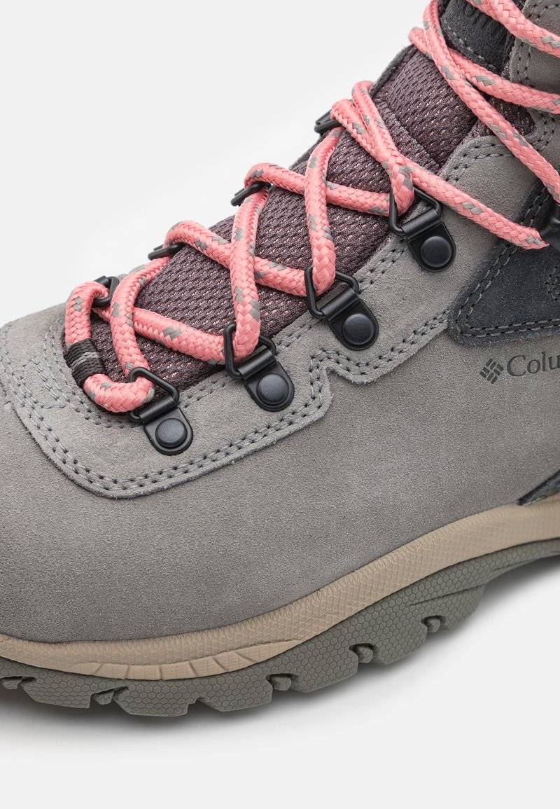 Columbia Columbia NEWTON RIDGE PLUS WATERPROOF AMPED - Hiking shoes Osterangebot