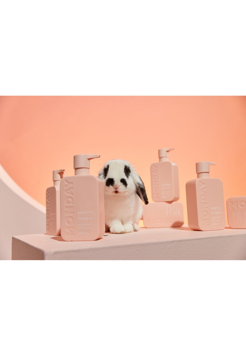 Monday Haircare Monday Haircare MONDAY SMOOTH CONDITIONER - Conditioner 50% Rabatt mit kostenlosem Versand